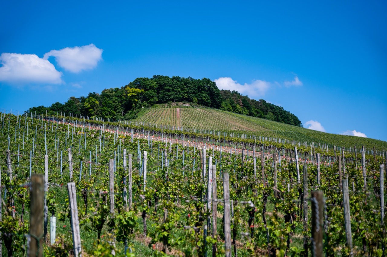 Bild zu Römerberg - Baden